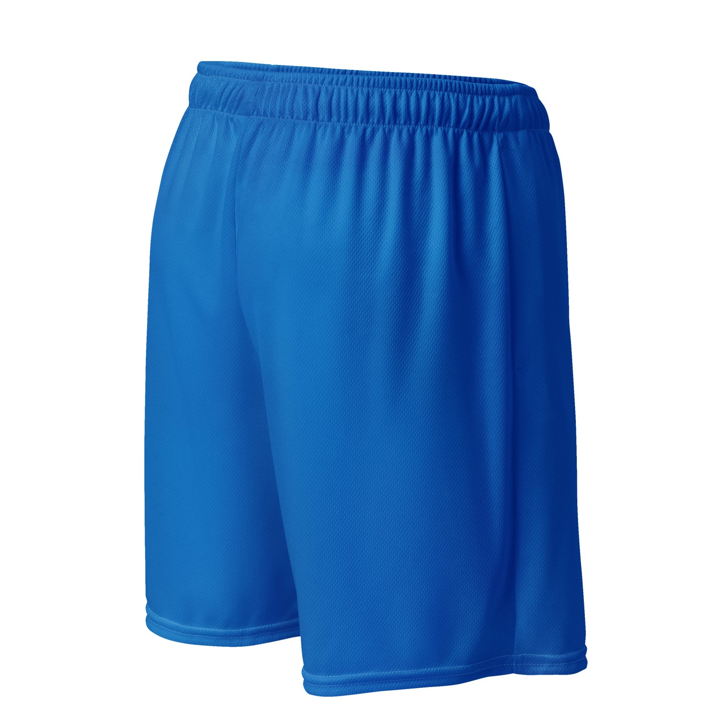 XCLUSIF POETIX BLUE & WHITE LOGO Unisex mesh shorts